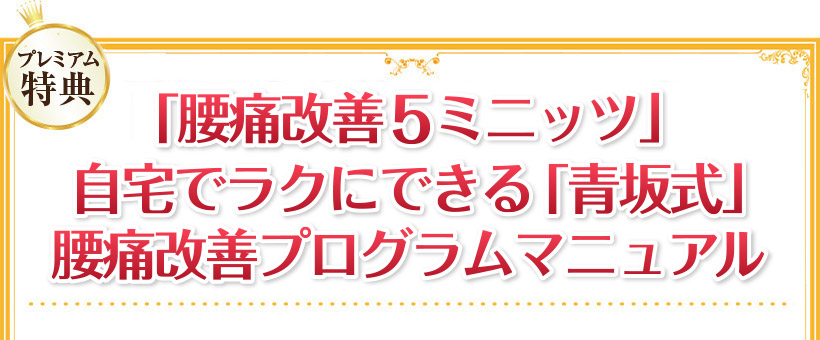 >「視力回復アイスマイル1.0　自宅でラクラク視力アップ法」マニュアル